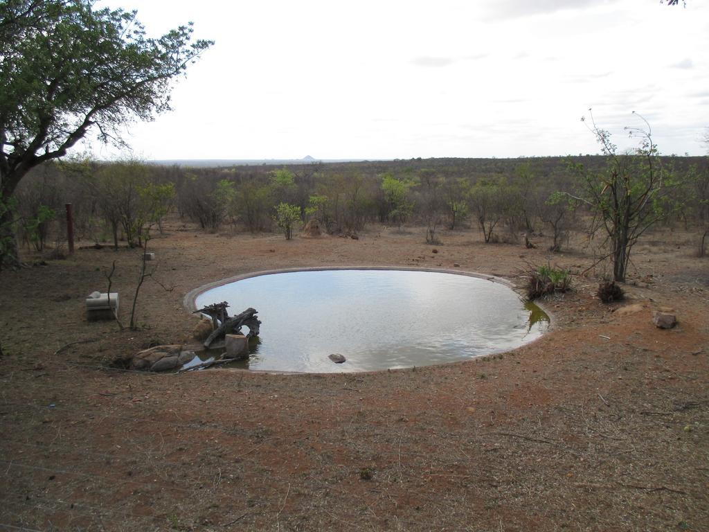 Tingala Lodge - Bed In The Bush Phalaborwa Eksteriør bilde